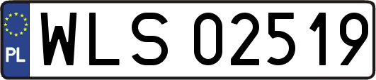 WLS02519