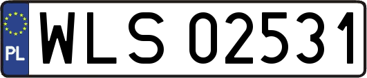 WLS02531