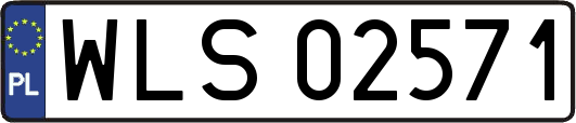 WLS02571