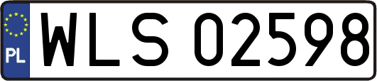 WLS02598