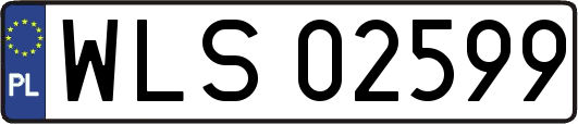 WLS02599