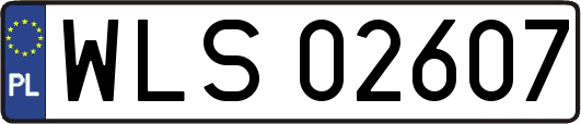 WLS02607