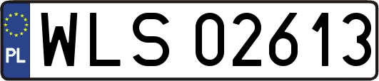 WLS02613