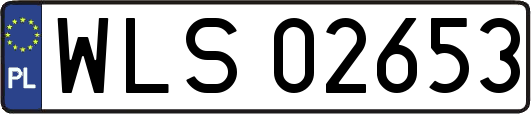 WLS02653