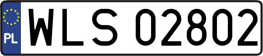 WLS02802