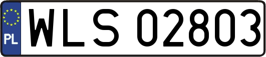 WLS02803