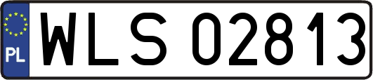 WLS02813