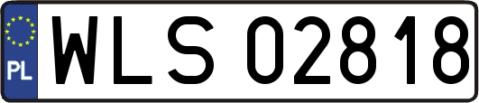 WLS02818