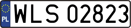 WLS02823