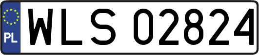 WLS02824