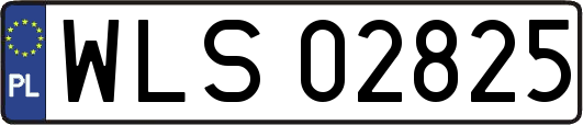 WLS02825