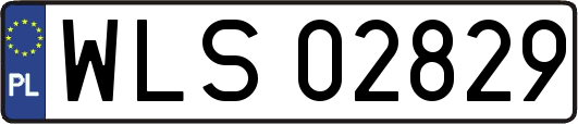 WLS02829