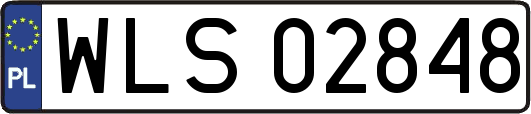 WLS02848