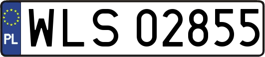 WLS02855