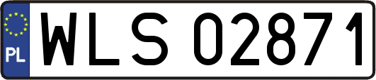 WLS02871