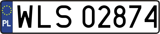 WLS02874