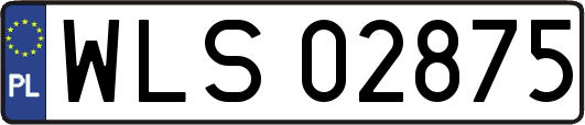 WLS02875