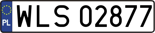 WLS02877