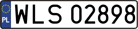 WLS02898