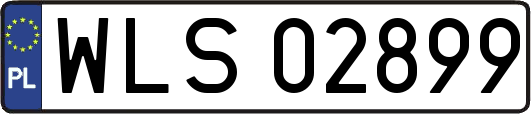 WLS02899