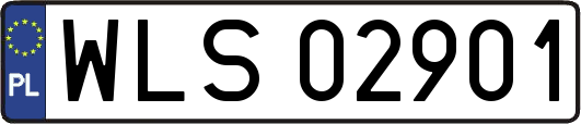 WLS02901