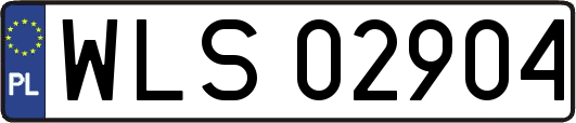 WLS02904