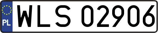 WLS02906