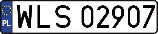 WLS02907