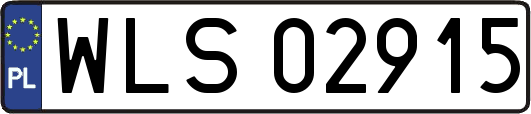 WLS02915