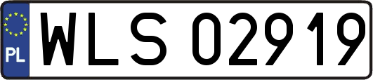 WLS02919