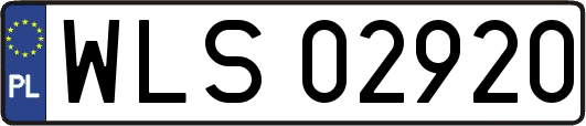 WLS02920