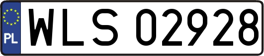 WLS02928