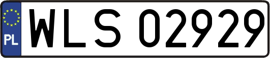 WLS02929