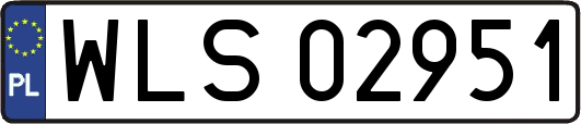 WLS02951