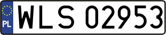 WLS02953