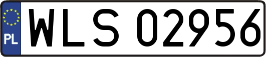 WLS02956