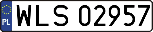 WLS02957