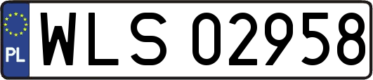 WLS02958