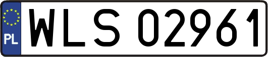 WLS02961