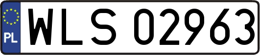 WLS02963