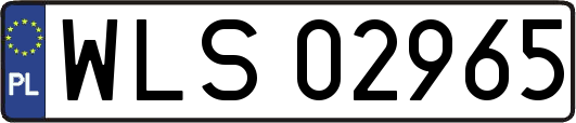 WLS02965