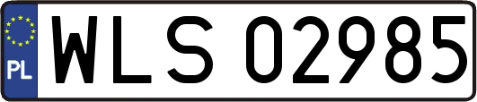 WLS02985