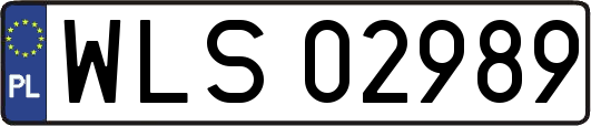 WLS02989