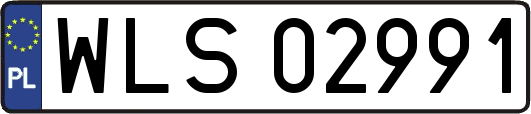 WLS02991