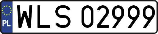 WLS02999