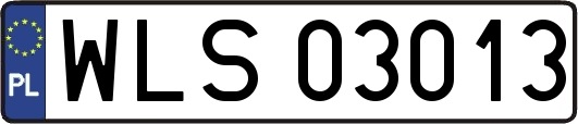 WLS03013