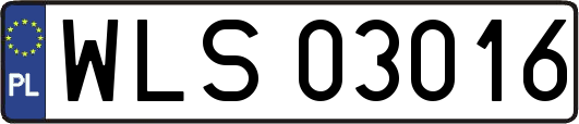 WLS03016