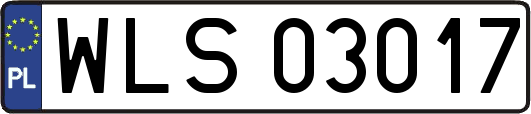 WLS03017