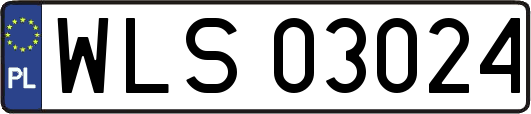 WLS03024