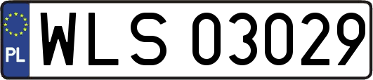 WLS03029